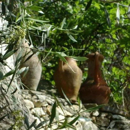 Tlos Secret Garden Hotel *