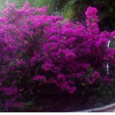 Tlos Secret Garden Fethiye